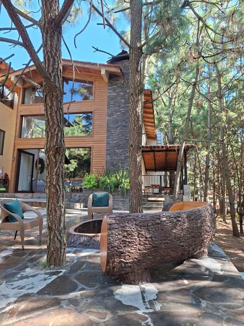 Garden view