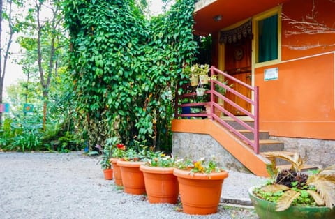 Property building, Garden, Garden view
