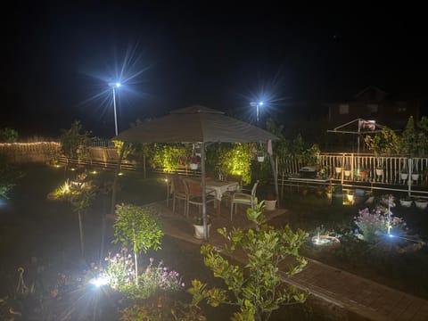 Night, Garden, Garden view