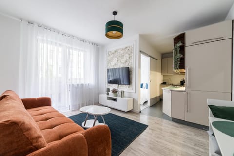 Communal lounge/ TV room, TV and multimedia, Kitchen or kitchenette, Living room, Seating area, Evening entertainment, oven