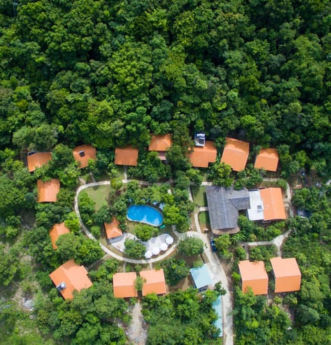 Property building, Bird's eye view, View (from property/room)