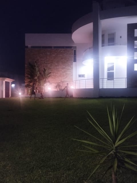 Night
