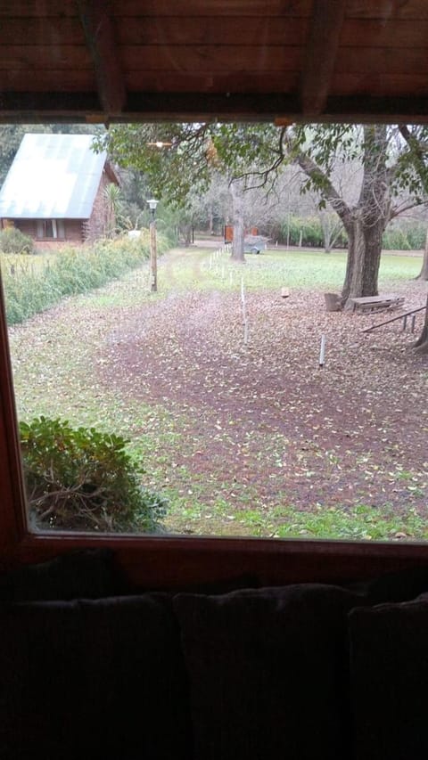 Natural landscape, Garden, Garden view