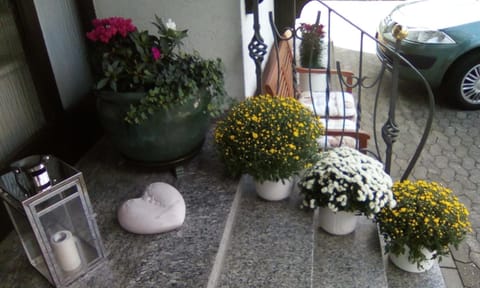 Haus Reitz Bed and Breakfast in Cochem-Zell