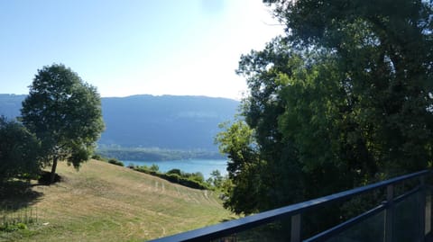 Lake view