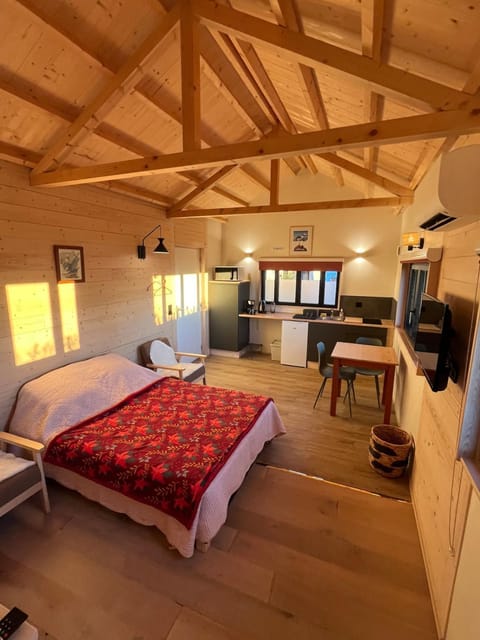 Bed, TV and multimedia, Kitchen or kitchenette, Living room, Photo of the whole room