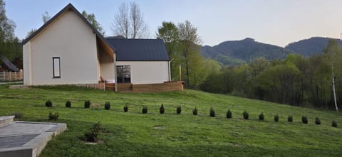 Property building, Day, Natural landscape, Garden, Hot Tub
