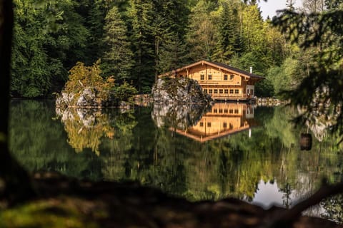 Property building, Natural landscape, Lake view
