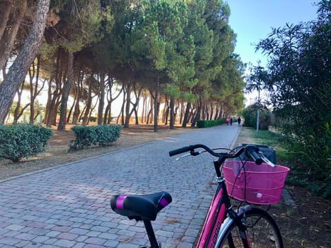 Natural landscape, Cycling