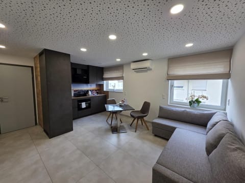 Kitchen or kitchenette, Living room, Seating area, Dining area, air conditioner