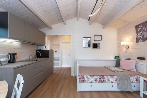 Bed, Kitchen or kitchenette, Living room, Seating area