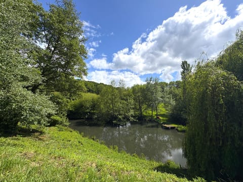 Natural landscape, Garden, Garden, Garden view, Lake view