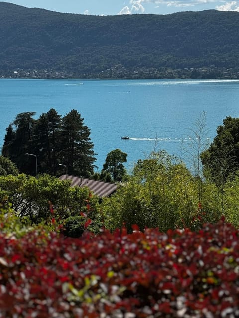 Lake view
