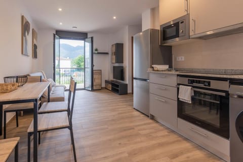 Kitchen or kitchenette, oven, stove