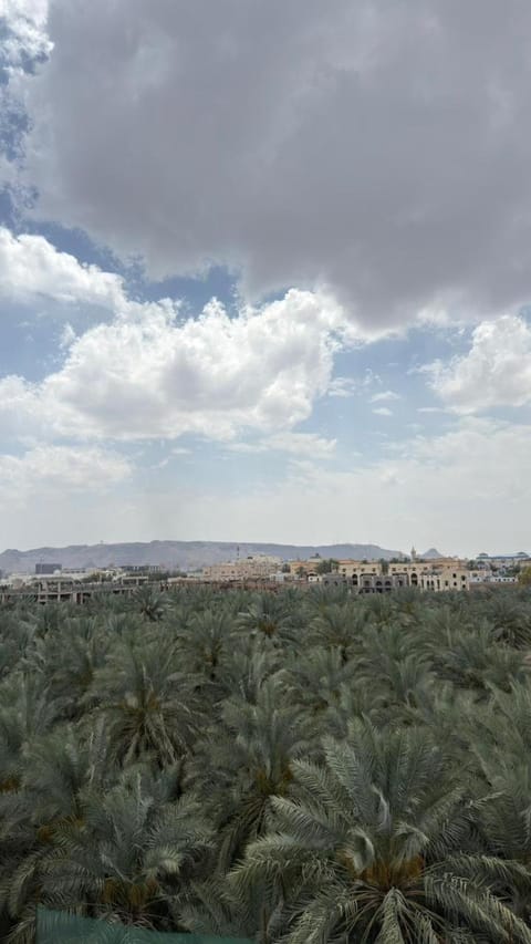 Natural landscape