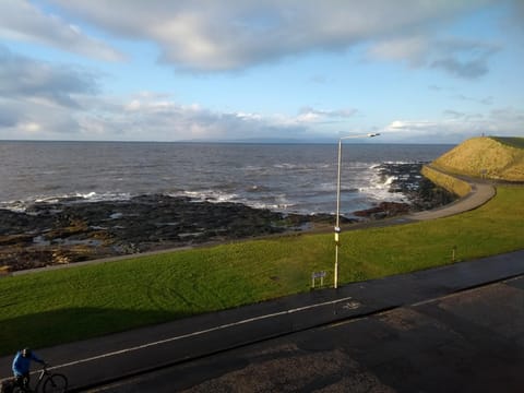 Natural landscape, Winter