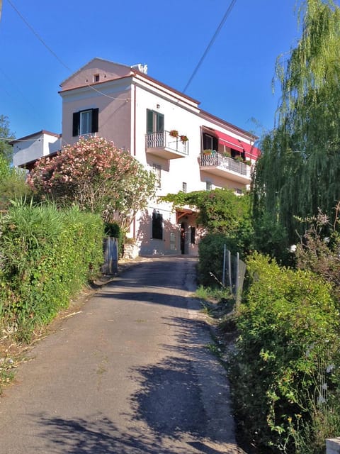 Property building, Facade/entrance, Summer, Garden, On site, Garden view, Street view