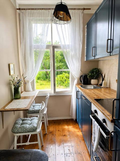 Kitchen or kitchenette, dishwasher, oven, stove