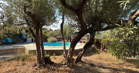 Natural landscape, Garden, Swimming pool