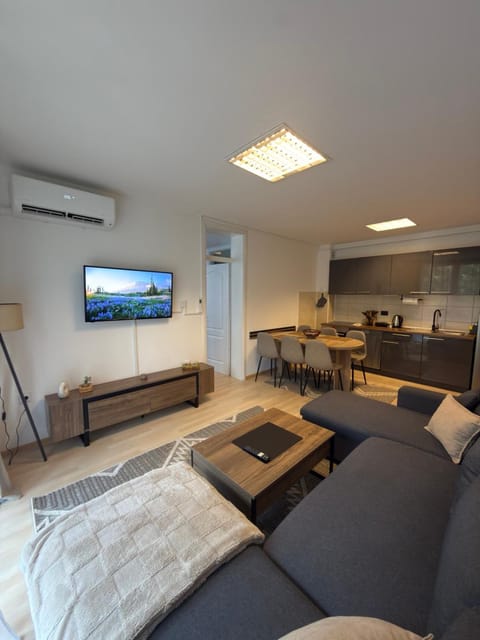TV and multimedia, Kitchen or kitchenette, Living room, Seating area, Dining area, Evening entertainment, air conditioner