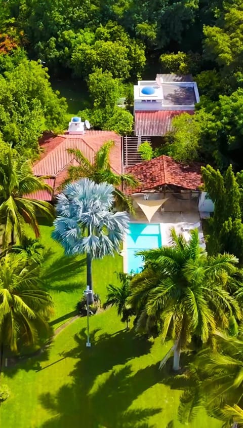 Garden, Garden