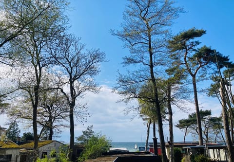 Spring, Natural landscape