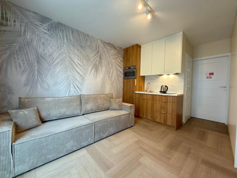 Kitchen or kitchenette, Living room, Seating area