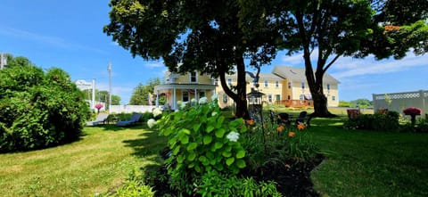 Property building, Garden view