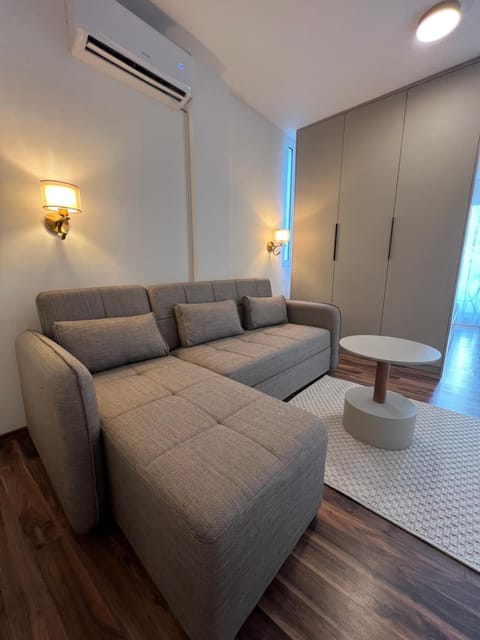 Living room, Seating area, air conditioner