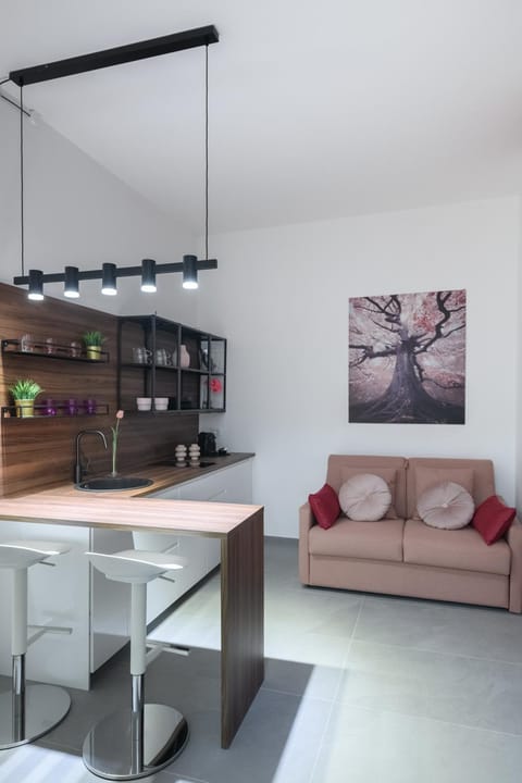 Kitchen or kitchenette, Living room, Seating area, Dining area