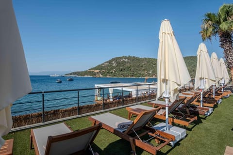 Day, Natural landscape, Sea view