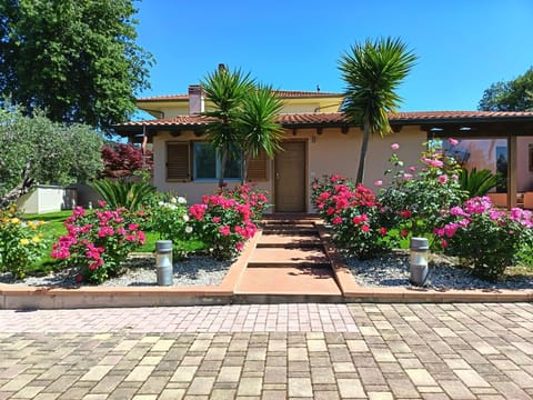 Property building, Facade/entrance, Garden