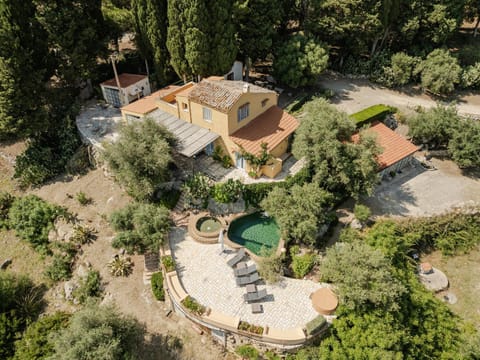 Bird's eye view, Swimming pool