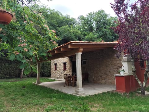 Spring, Garden, Garden view