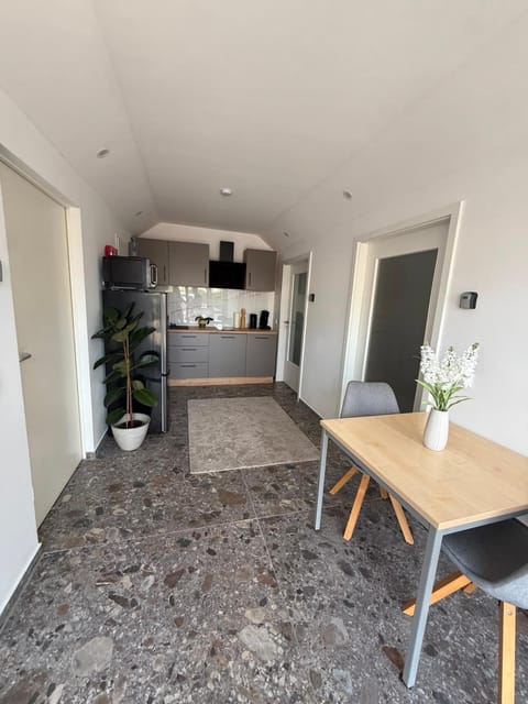 Kitchen or kitchenette, Dining area, oven, stove