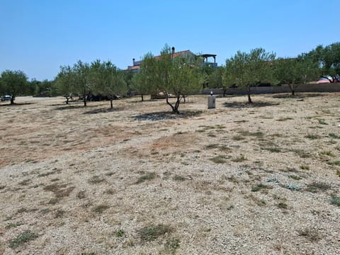 Day, Natural landscape