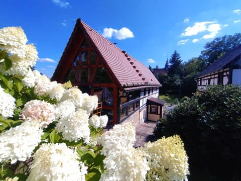 Property building, Day, Garden