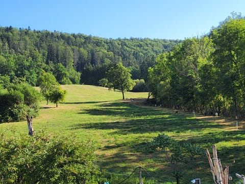 Natural landscape