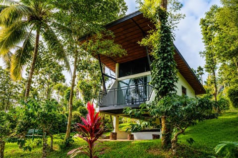 Property building, Natural landscape, Garden view