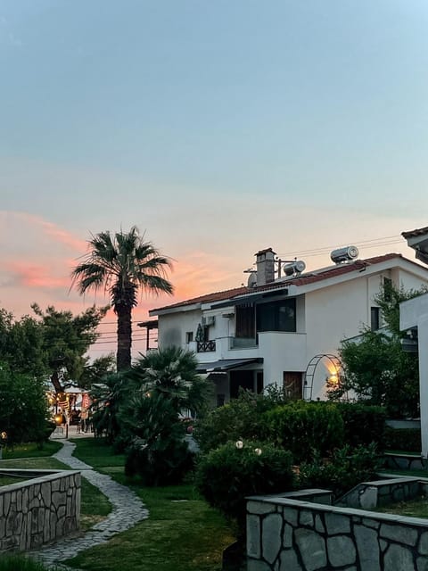 Beach, Garden view