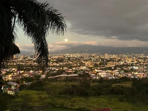 City view
