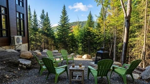Mountain view, fireplace