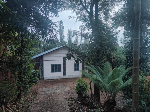 Property building, Garden view