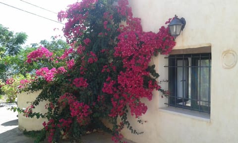 Patio, Garden, On site, Garden view, Mountain view