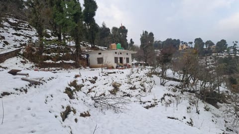 Winter
