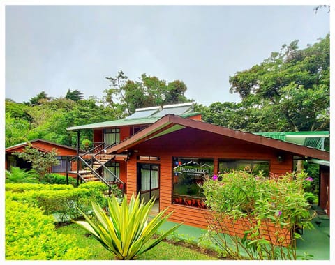 Property building, Garden