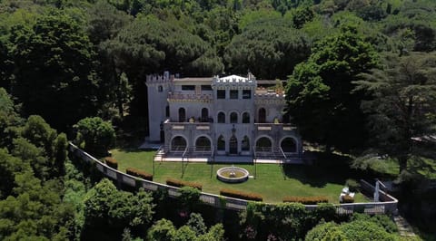 Property building, Natural landscape, Bird's eye view, Garden view, Landmark view