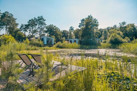 Natural landscape, Garden