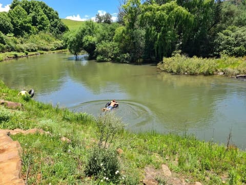 Natural landscape, Activities, River view