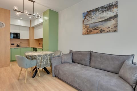 Kitchen or kitchenette, Living room, Seating area